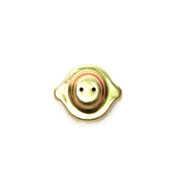Tapa Deposito de Agua Fiat 600 128