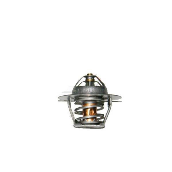 Termostato Peugeot 306 XN-XR 1.8 75°
