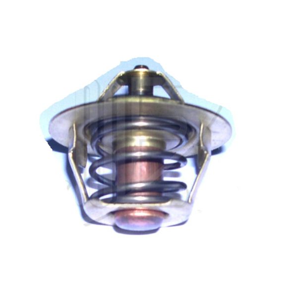 Termostato Peugeot 206 89°