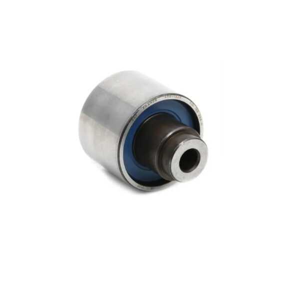 Tensor Distribucion Volkswagen Golf Passat New Beatle Bora Audi A3 A4 1.9 2.0 TDI  16V 06/11 SKF