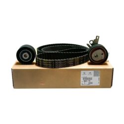 Kit Distribucion Peugeot 206 307 308 406 407 C4 Picasso 1.8 2.0 16V EW10J4-EW12J4 Original
