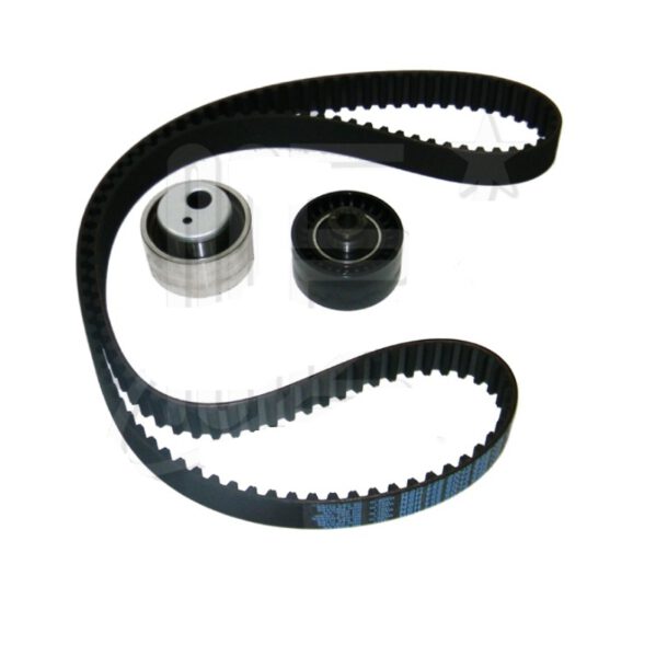 Kit Distribucion Peugeot 206 306 307 406 Partner 2.0 D DW10 HDI Original