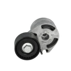 Tensor Servicio Ford Fiesta Duratorq 1.4 TDCI SKF