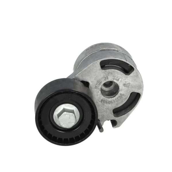 Tensor Servicio Ford Fiesta Duratorq 1.4 TDCI SKF