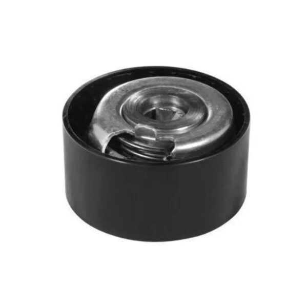 Tensor Distribucion Renault Clio II Megane Scenic 2.0 16V F4P-F4R (MOVIL) SKF