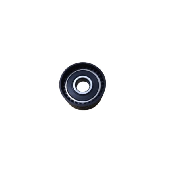 Tensor Distribucion Renault Clio II Megane Scenic 2.0 16V F4P F4R (Fijo Liso) SKF