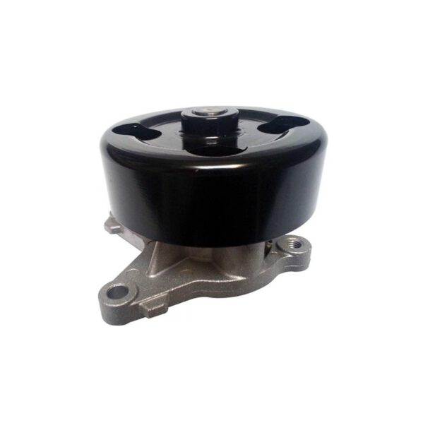 Bomba de Agua Renault Fluence Megane lll Latitude Laguna Nissan Tiida 1.8 1.6 16V (M4R)